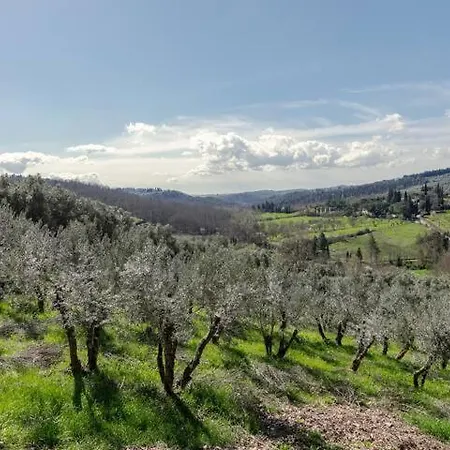 Isola Del Pittore Casa Indipendente In Storica Daire *